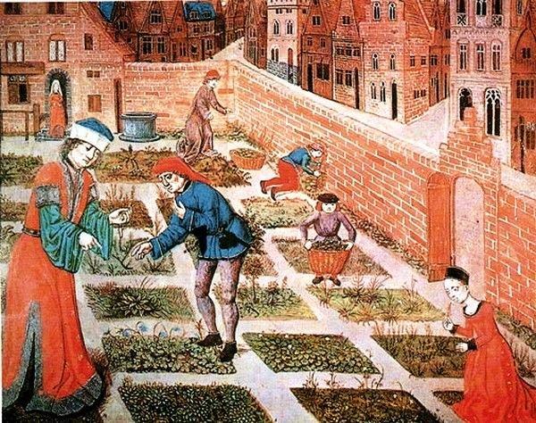 Hortulus de Walafrid Strabo