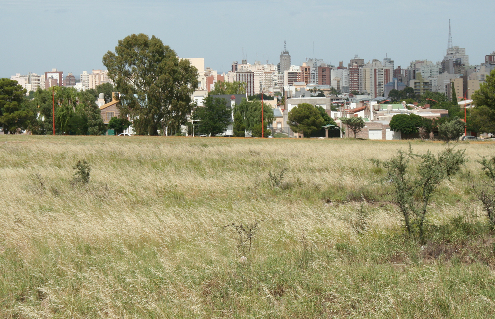 Bifurcaciones-BahiaBlanca-001b