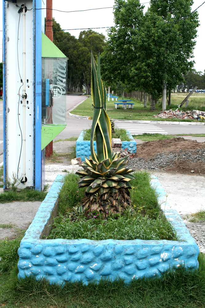 Bifurcaciones-BahiaBlanca-007b