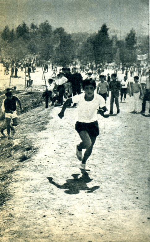 Bifurcaciones_EstadioNacional1972(4)