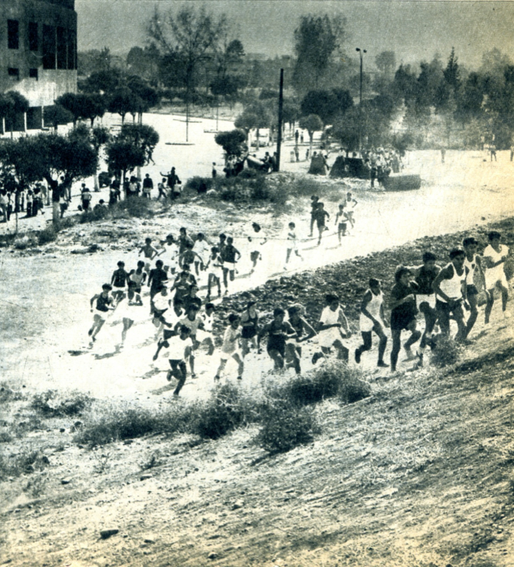 Bifurcaciones_EstadioNacional1972(6)