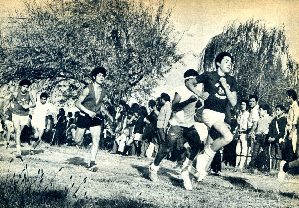 Bifurcaciones_EstadioNacional1972(8)
