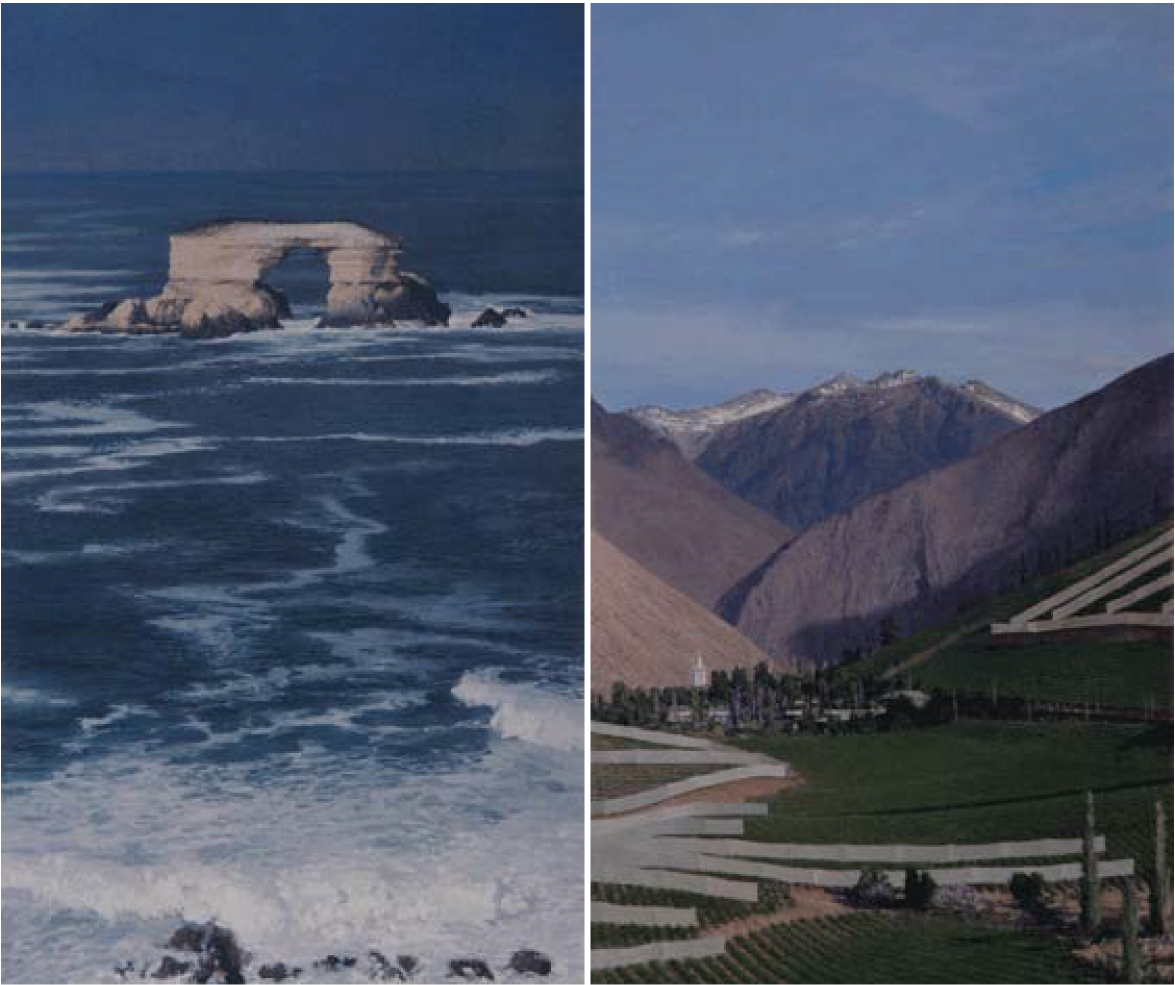 Bifurcaciones-Booth-3