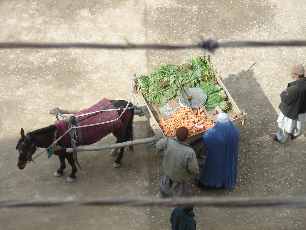 bifurcaciones-kabul-012(2)