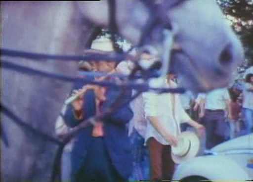 bifurcaciones_cali_de_pelicula_3