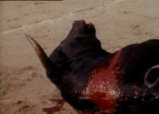 bifurcaciones_cali_de_pelicula_4