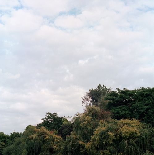 Bifurcaciones_DiStefano_01