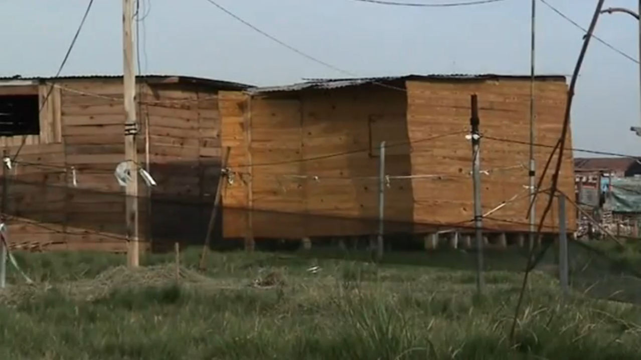 bifurcaciones_dangiolillo_matanzas007