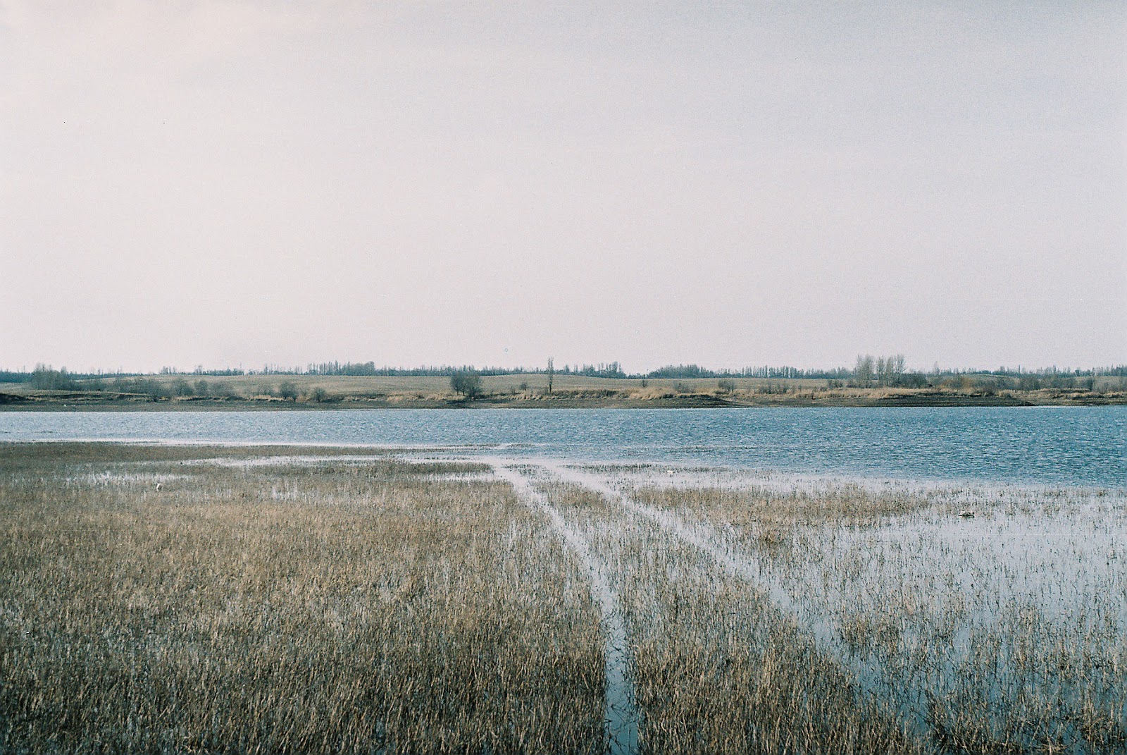 bifurcaciones-JanChudozilov-010