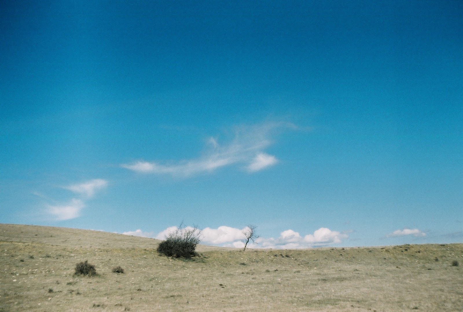 bifurcaciones-JanChudozilov-06