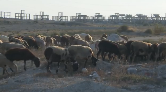 bifurcaciones-serrano-casasparatodos-005