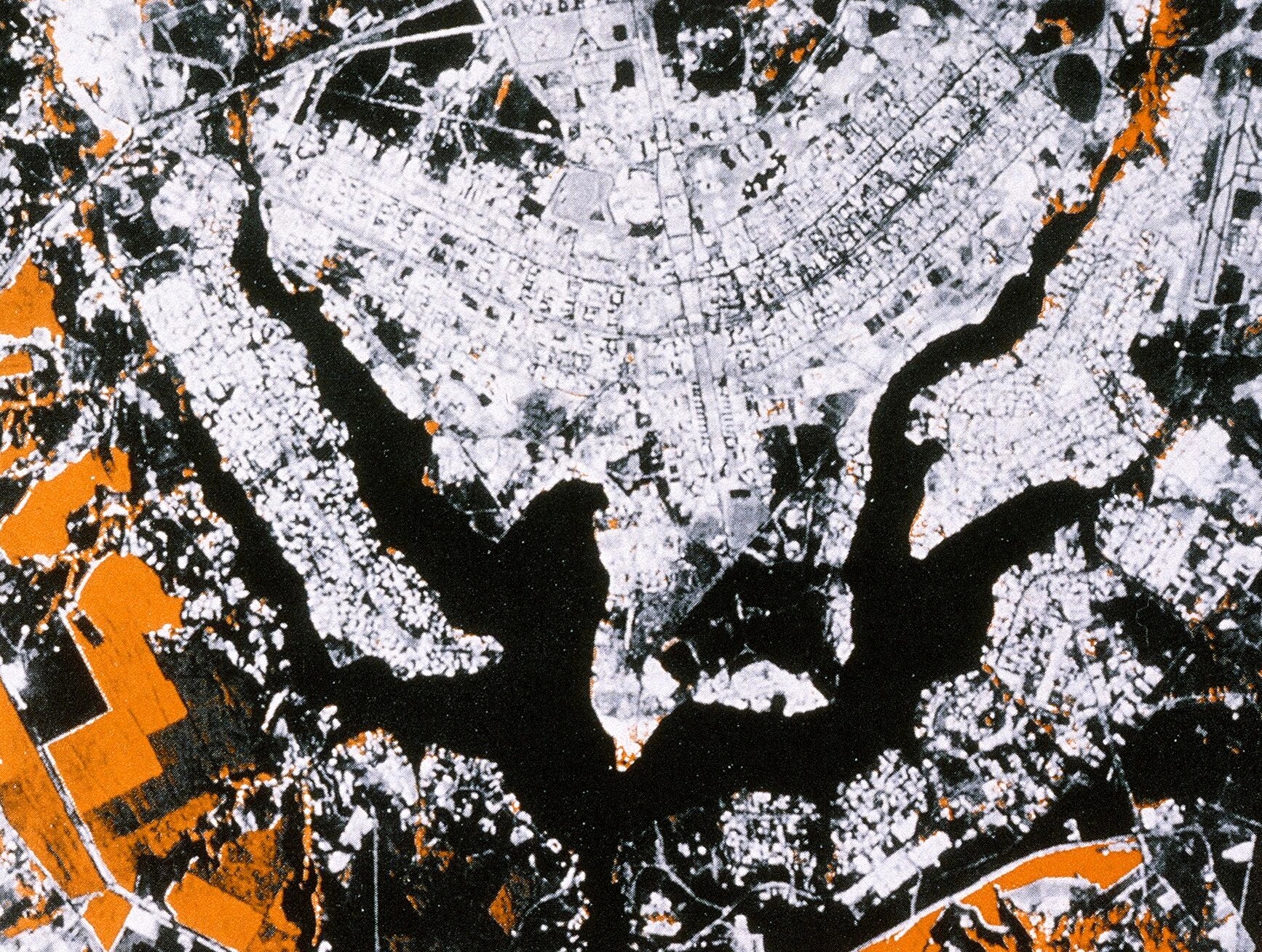 Fig. 2: Plano Piloto de Brasilia.