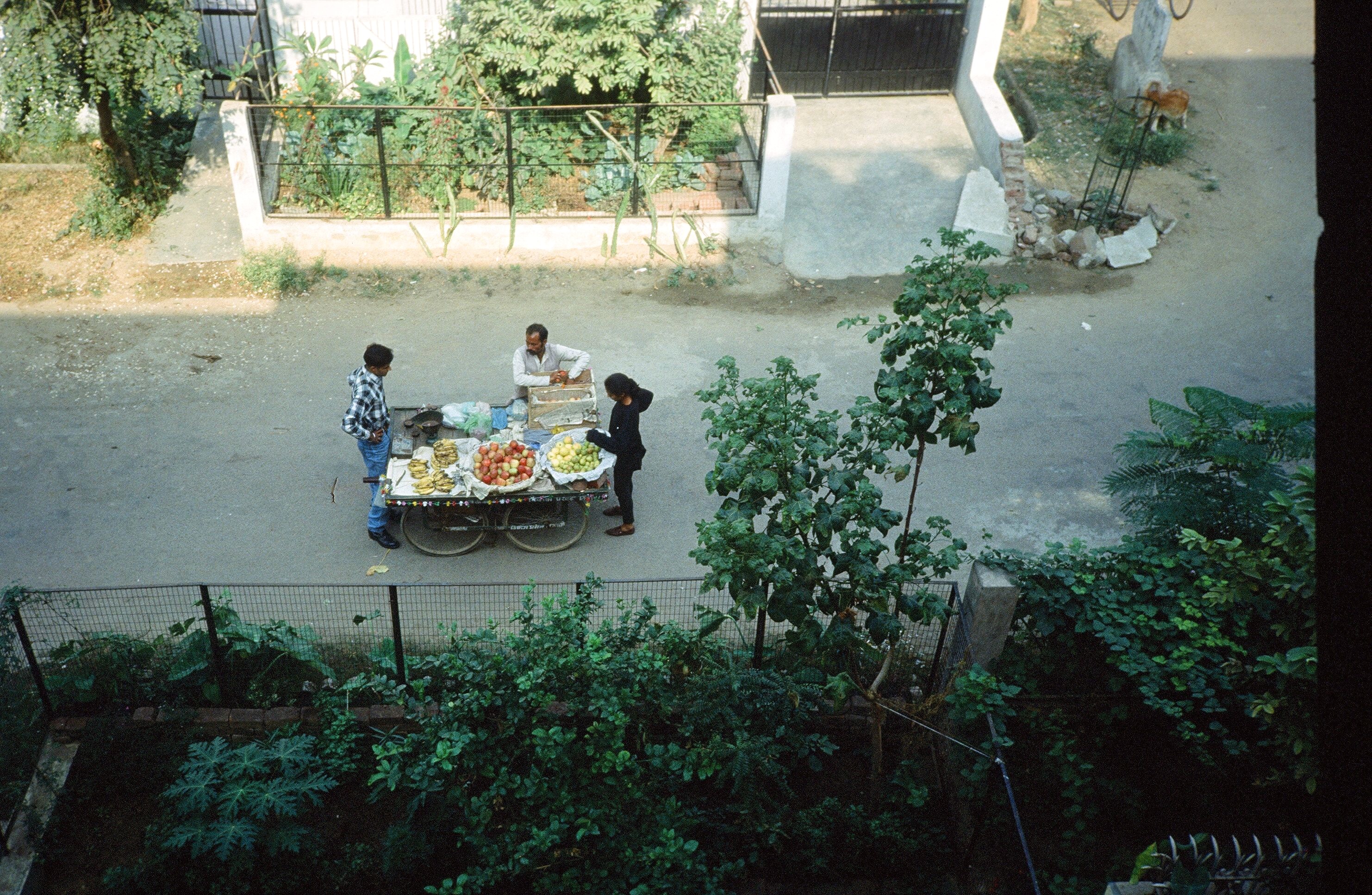 Fig. 19: Vendedor ambulante, Januk Puri.