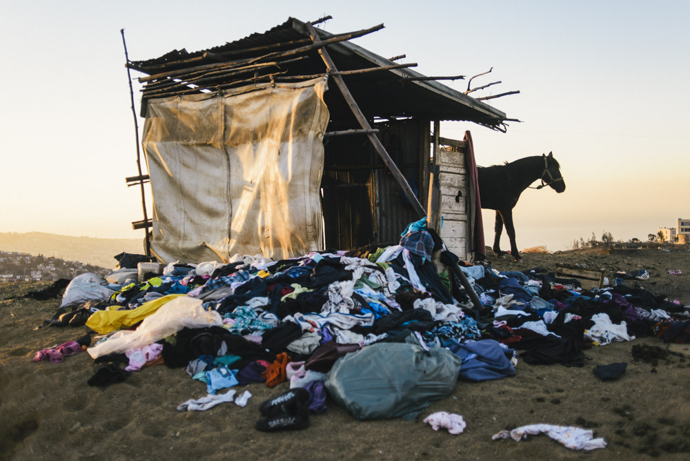 Raúl Goycoolea - Bifurcaciones