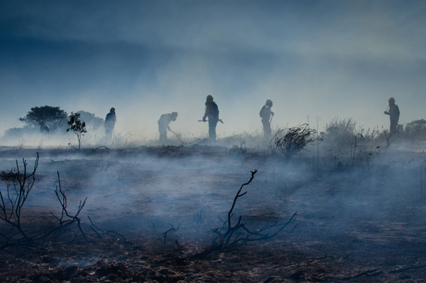 Raúl Goycoolea - Bifurcaciones