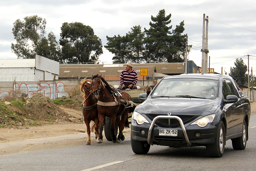 Fig. 8. Carreta para el transporte de carga, sector nor-oriente de Talca. Foto de Afre Garrido.