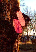 Poda al arbol 3
