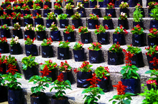 Areas Verdes 3d