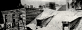 Jacob Riis